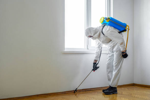 Best Fumigation Services  in Montebello, NY